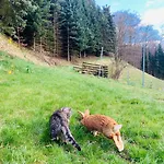 Naturhof Kluge *