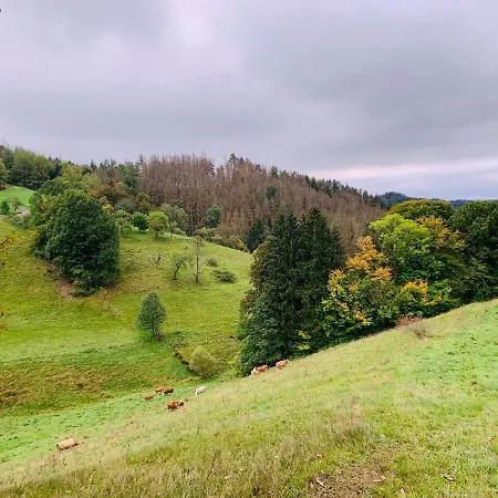Lägenhet Naturhof Kluge *