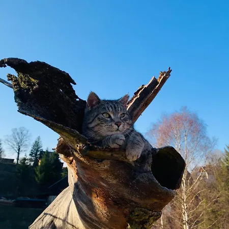 Appartement Naturhof Kluge Saupsdorf