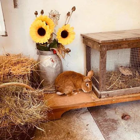 Appartement Naturhof Kluge *