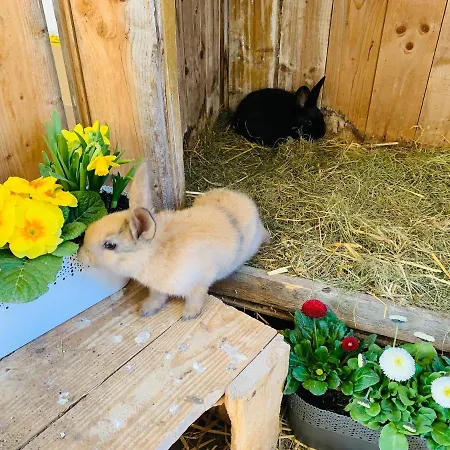 Lejlighed Naturhof Kluge