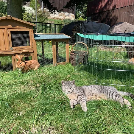 Naturhof Kluge Lägenhet *