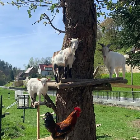 Naturhof Kluge * Saupsdorf