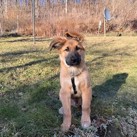 Naturhof Kluge * Saupsdorf