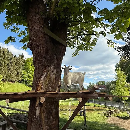 Naturhof Kluge * Saupsdorf