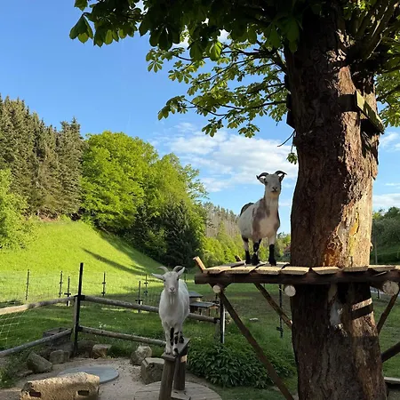 Apartmán Naturhof Kluge