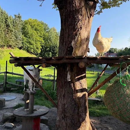 Apartmán Naturhof Kluge Saupsdorf