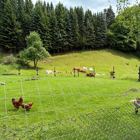 Apartmán Naturhof Kluge