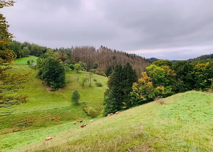 Apartamento Naturhof Kluge *