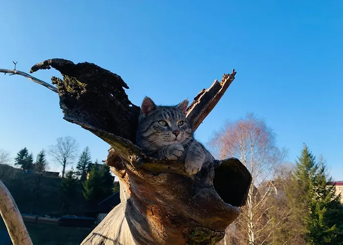 Apartamento Naturhof Kluge Saupsdorf