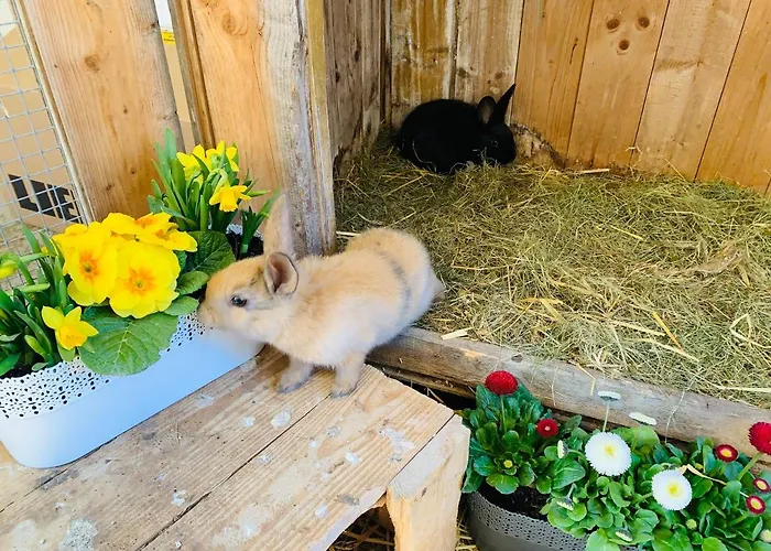 Apartamento Naturhof Kluge