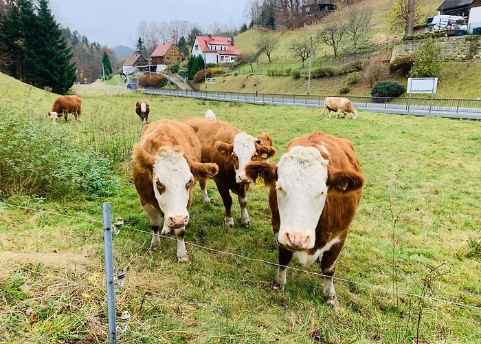 Apartamento Naturhof Kluge *