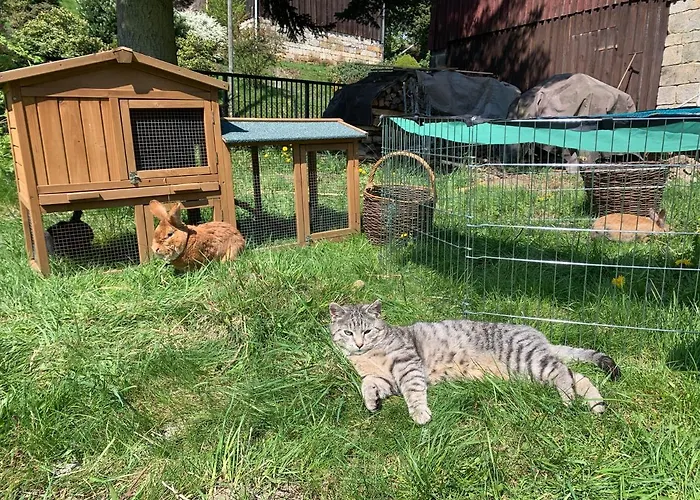 Naturhof Kluge Apartamento *