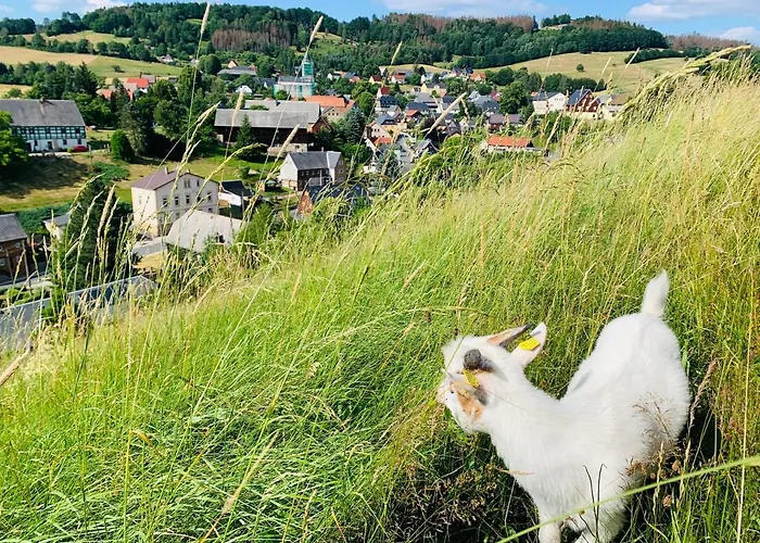 Apartamento Naturhof Kluge