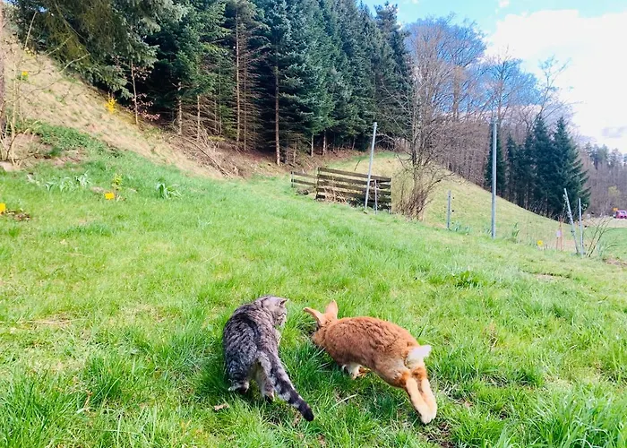 Naturhof Kluge *