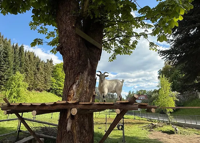 Naturhof Kluge * Saupsdorf