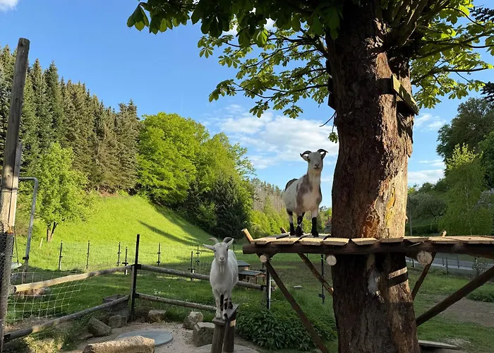 Apartamento Naturhof Kluge