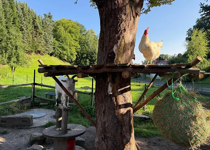 Apartamento Naturhof Kluge Saupsdorf