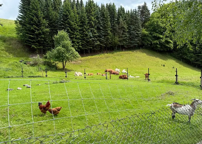 Apartamento Naturhof Kluge
